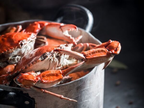 Kristal Seri Mavi Yengeç Eti