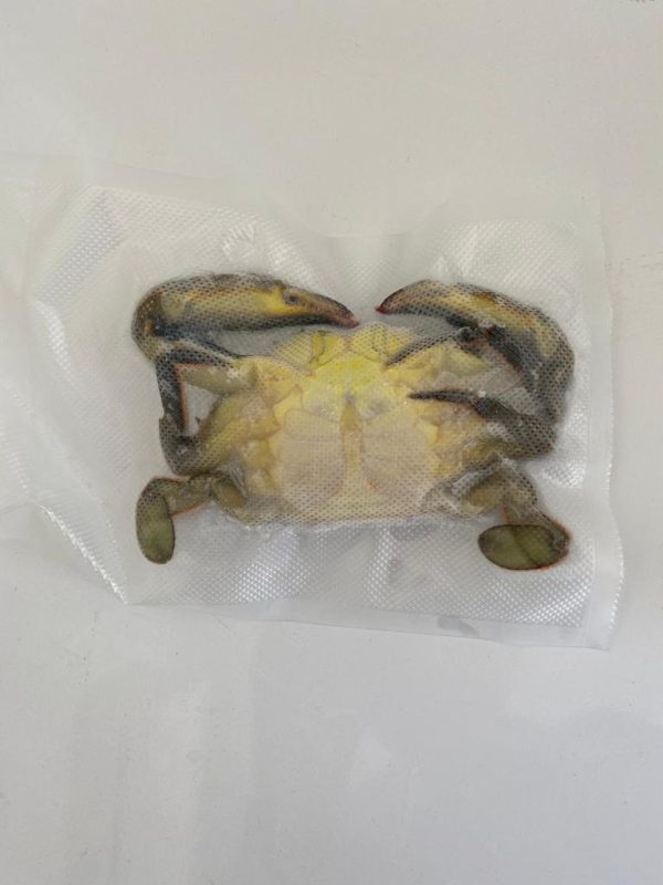 Yumuşak kabuklu mavi Yengeç