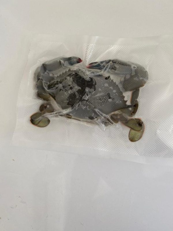 Yumuşak kabuklu mavi Yengeç