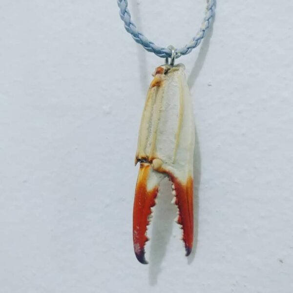 kıskaç kolye KISkaç Kolye PEMBEMSİ