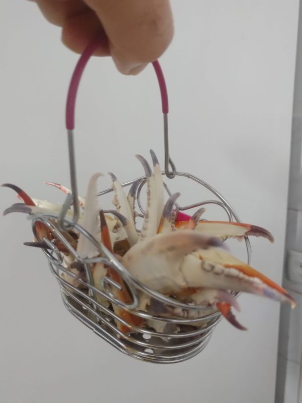 KISkaç kolye toptan