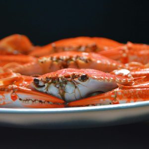 Haşlanmış Mavi Yengeç