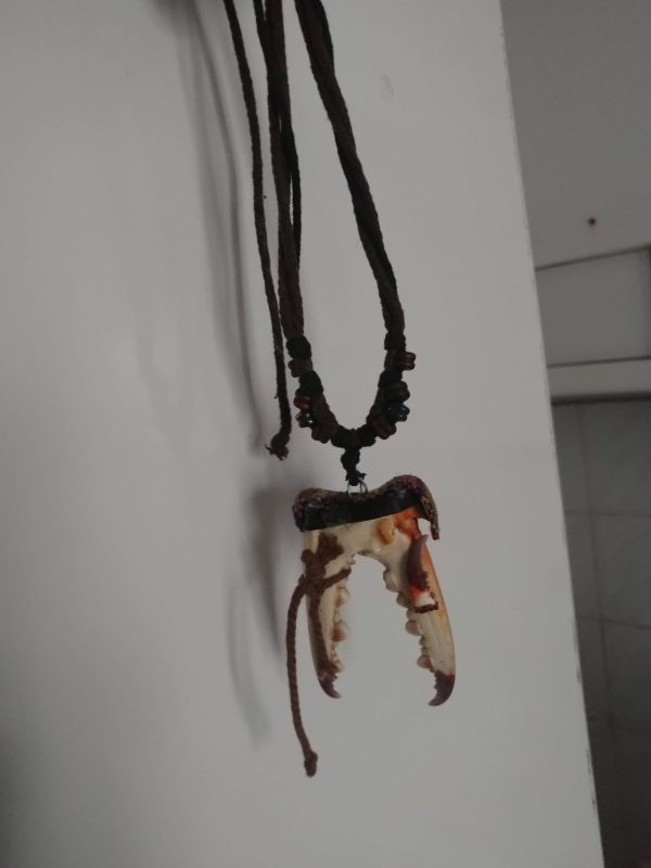 KISkaç Kolye APAÇİ