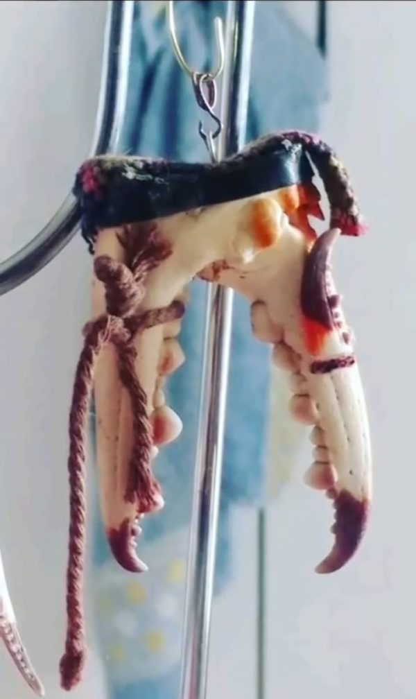 KISkaç Kolye APAÇİ